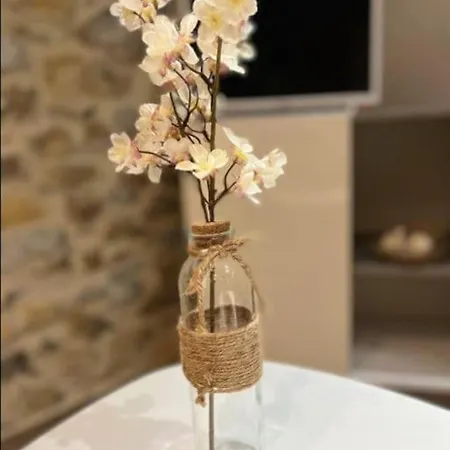 Le Cocon Studio Apartamento *